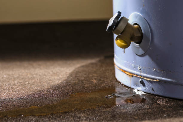 Best Professional water damage repair  in Allendale, MI