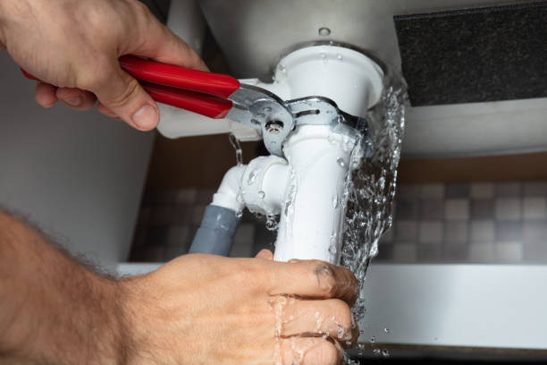 Best Mold removal after water damage  in Allendale, MI