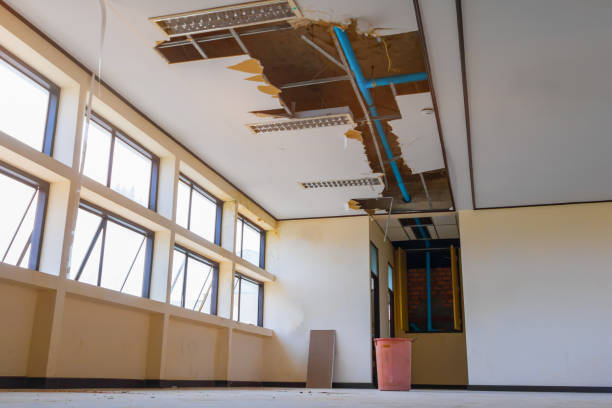 Best Flooded house restoration  in Allendale, MI