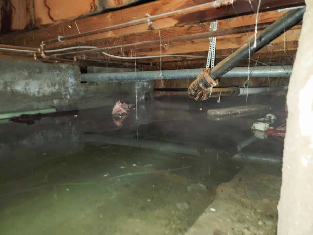Water damage restoration process in Allendale, MI