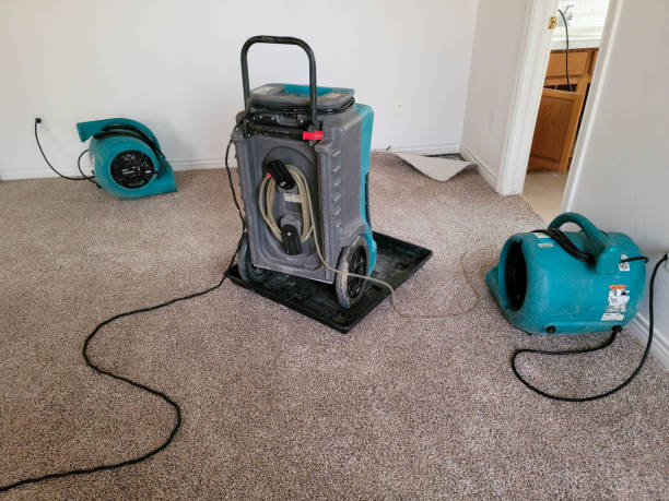 Best 24-hour water damage restoration  in Allendale, MI