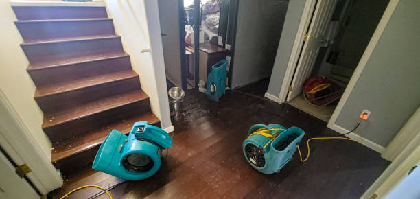 Water damage restoration mold remediation in Allendale, MI