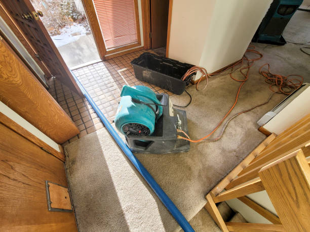 Best Water damage contractors near me  in Allendale, MI