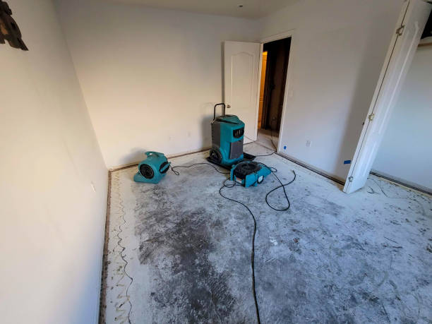 Trusted Allendale, MI Water damage restoration Experts