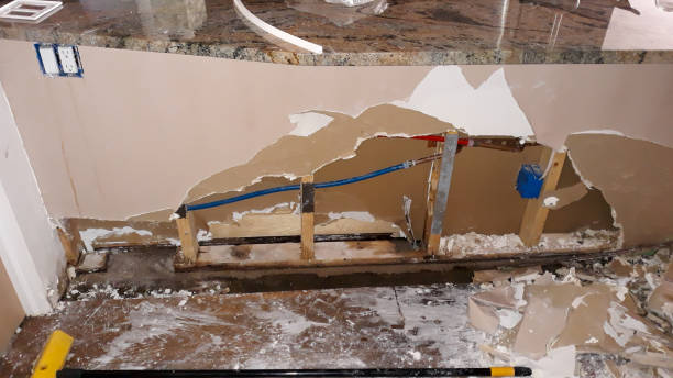 Best Water damage cleanup near me  in Allendale, MI