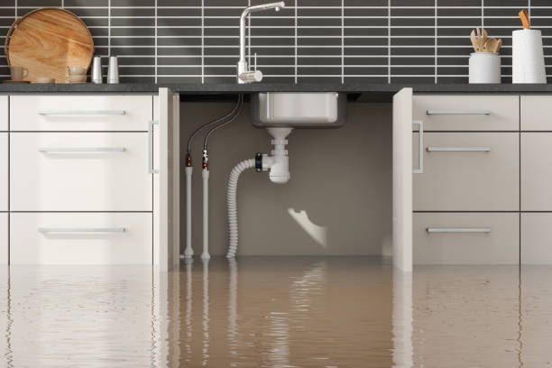 Best Flood damage cleanup  in Allendale, MI