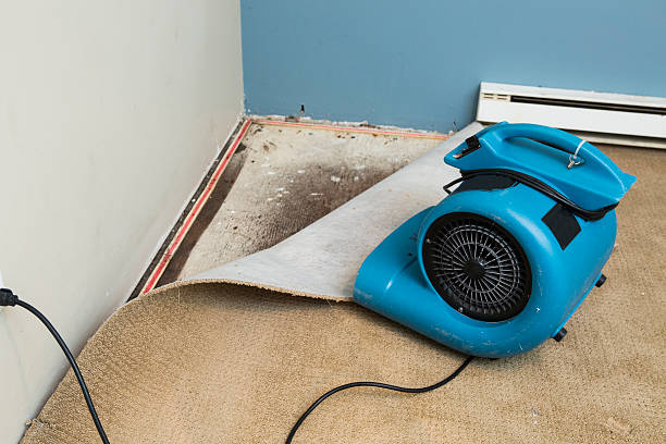 Trusted Allendale, MI Water damage restoration Experts