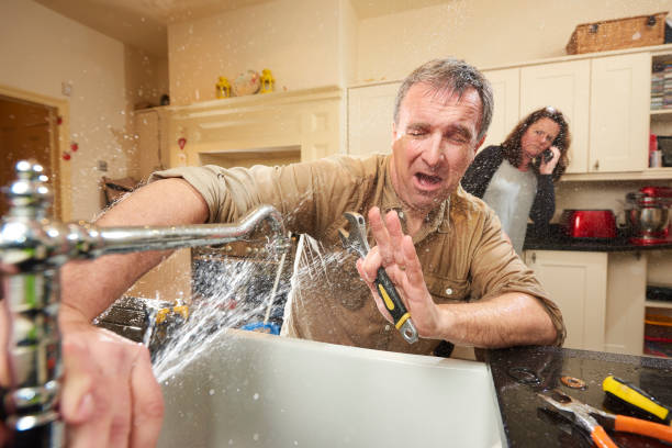 Best Flooded house restoration  in Allendale, MI
